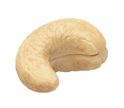 Cashew Nut Jumbo (w180)